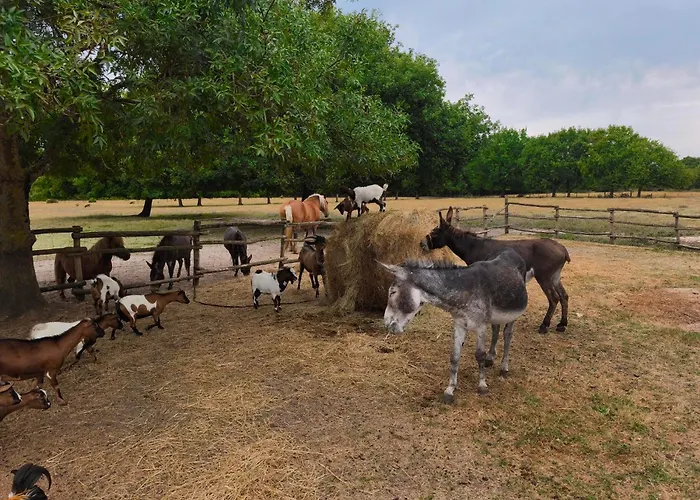 eco nature, gite à la ferme